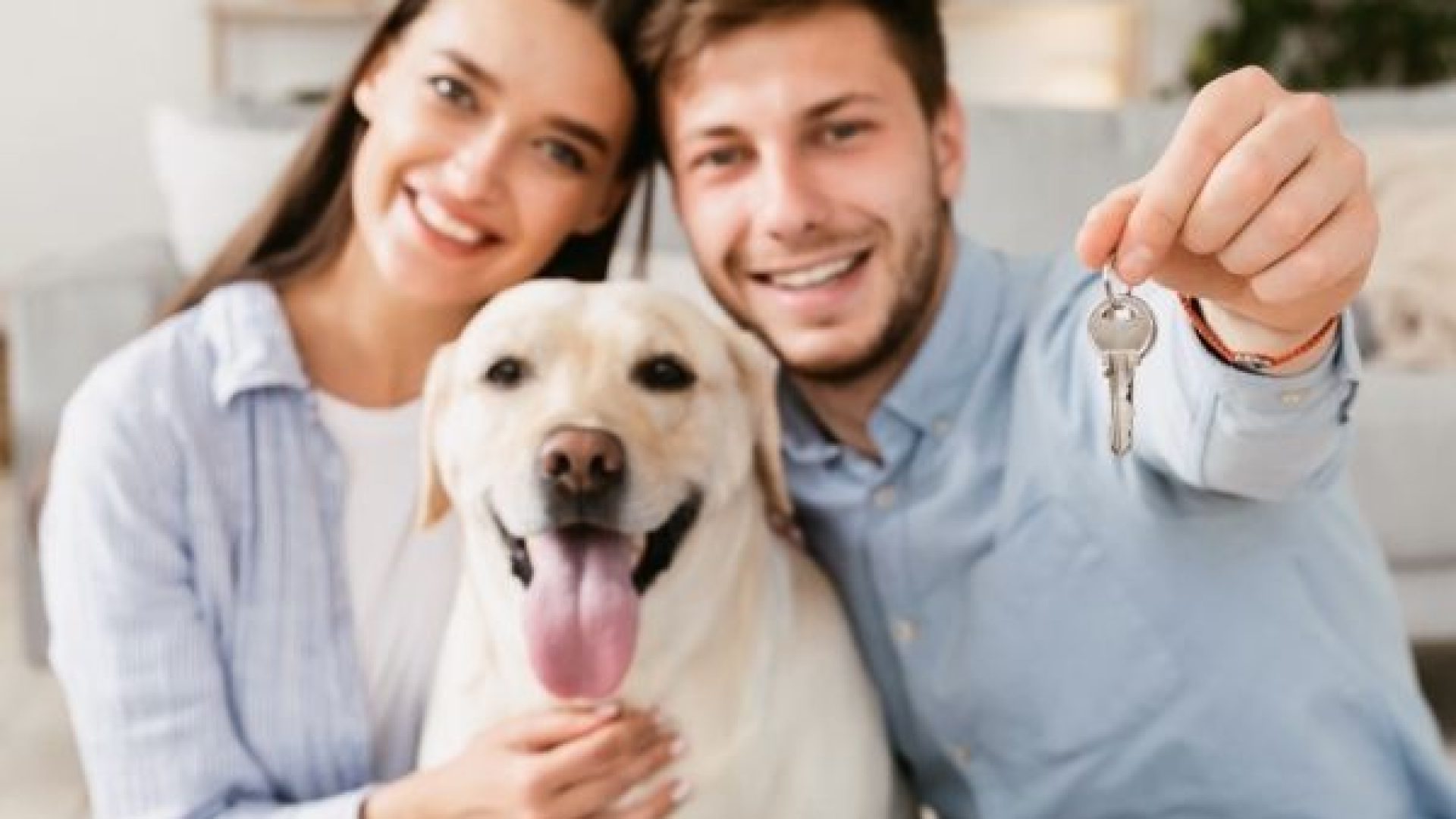 Who Keeps the House If the Marriage Ends? Shapiro & Haasbroek Inc. Attorneys - Family Law